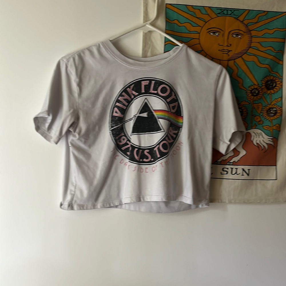 It is a pink Floyde crop top